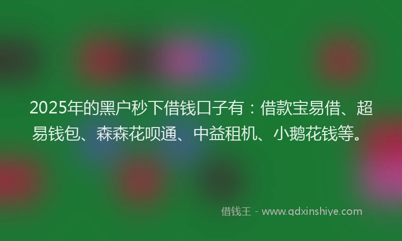 2025年的黑户秒下借钱口子有：借款宝易借、超易钱包、森森花呗通、中益租机、小鹅花钱等。