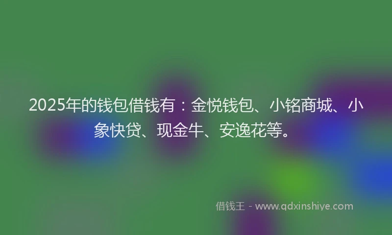 2025年的钱包借钱有：金悦钱包、小铭商城、小象快贷、现金牛、安逸花等。