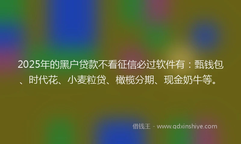 2025年的黑户贷款不看征信必过软件有：甄钱包、时代花、小麦粒贷、橄榄分期、现金奶牛等。
