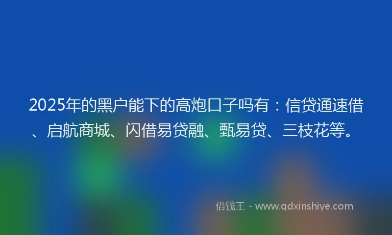 2025年的黑户能下的高炮口子吗有：信贷通速借、启航商城、闪借易贷融、甄易贷、三枝花等。
