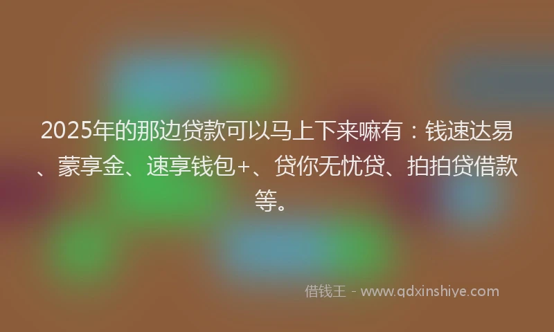 2025年的那边贷款可以马上下来嘛有：钱速达易、蒙享金、速享钱包+、贷你无忧贷、拍拍贷借款等。
