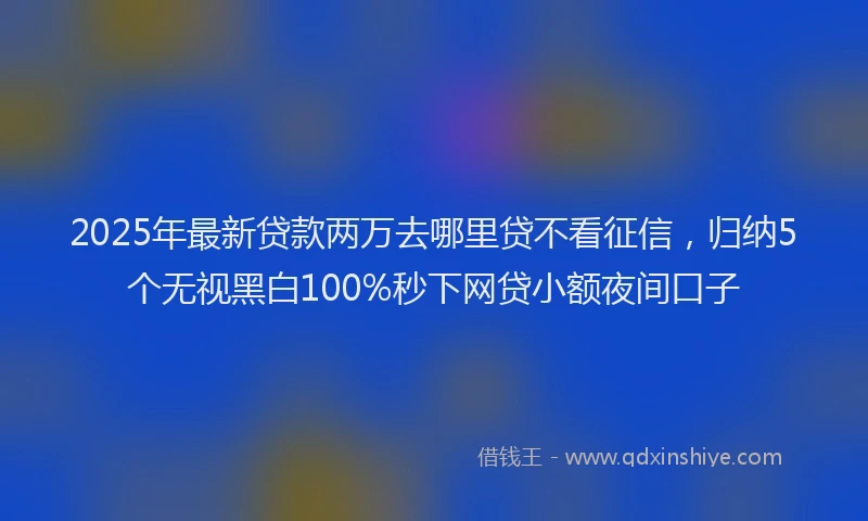 2025年最新贷款两万去哪里贷不看征信，归纳5个无视黑白100%秒下网贷小额夜间口子