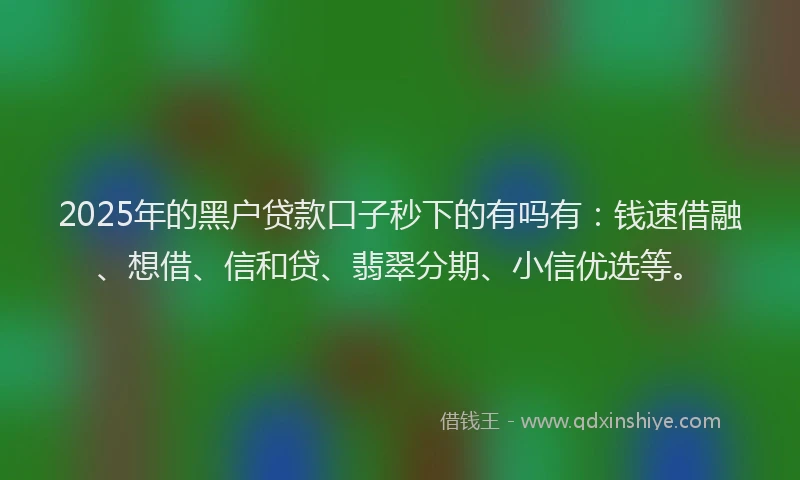 2025年的黑户贷款口子秒下的有吗有：钱速借融、想借、信和贷、翡翠分期、小信优选等。
