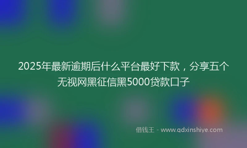 2025年最新逾期后什么平台最好下款，分享五个无视网黑征信黑5000贷款口子