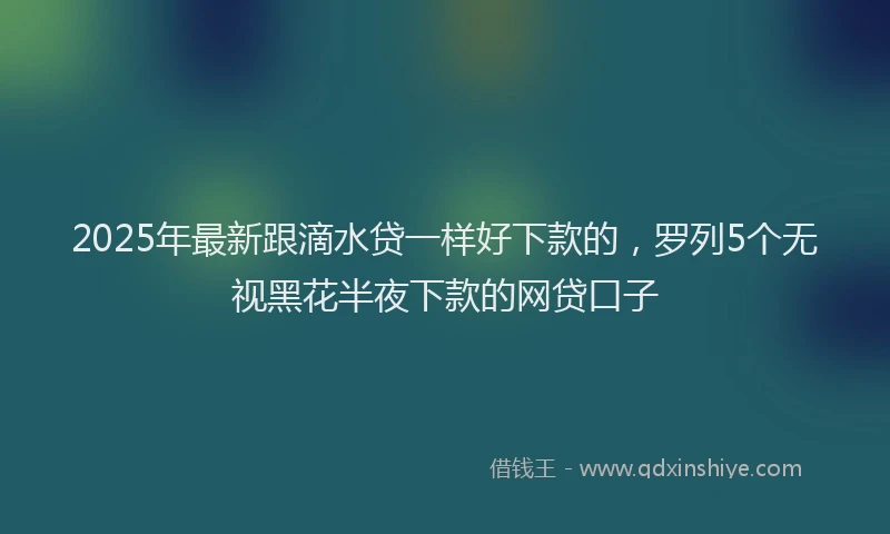 2025年最新跟滴水贷一样好下款的，罗列5个无视黑花半夜下款的网贷口子