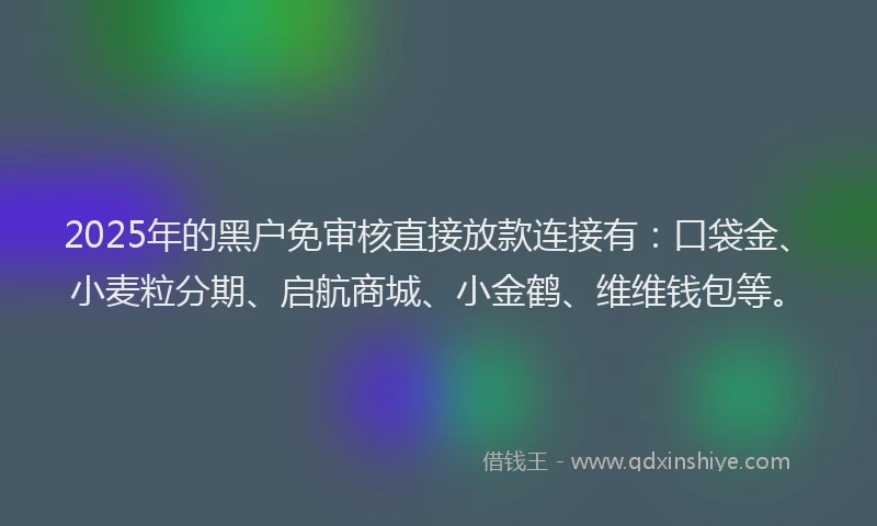 2025年的黑户免审核直接放款连接有：口袋金、小麦粒分期、启航商城、小金鹤、维维钱包等。