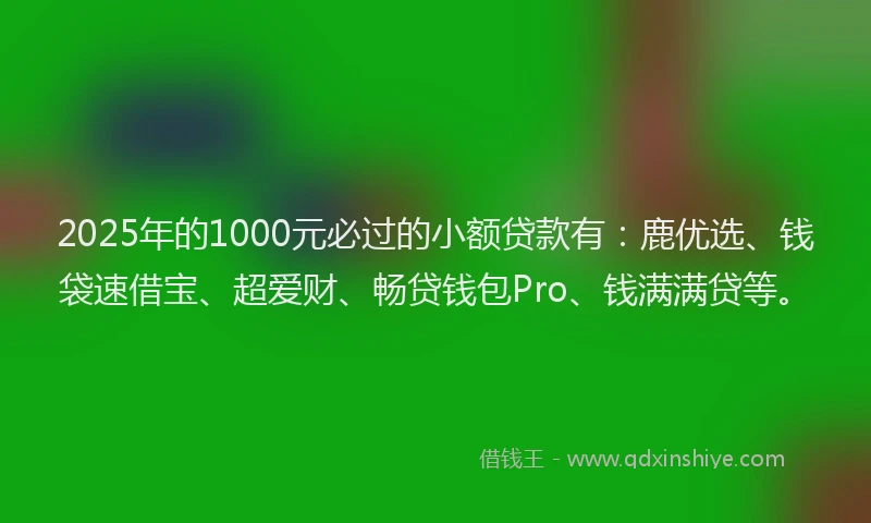 2025年的1000元必过的小额贷款有：鹿优选、钱袋速借宝、超爱财、畅贷钱包Pro、钱满满贷等。