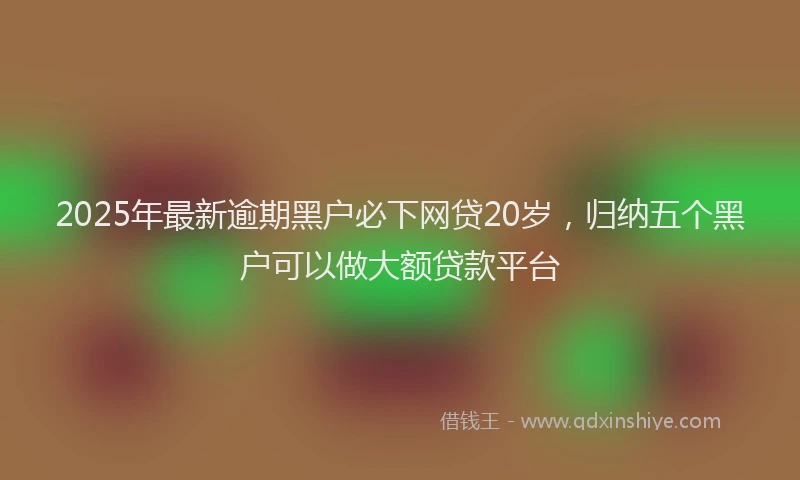 2025年最新逾期黑户必下网贷20岁，归纳五个黑户可以做大额贷款平台