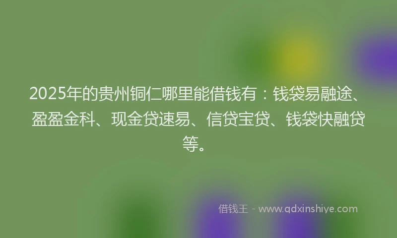 2025年的贵州铜仁哪里能借钱有：钱袋易融途、盈盈金科、现金贷速易、信贷宝贷、钱袋快融贷等。