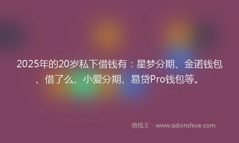 2025年的20岁私下借钱有：星梦分期、金诺钱包、借了么、小爱分期、易贷Pro钱包等。