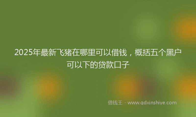 2025年最新飞猪在哪里可以借钱，概括五个黑户可以下的贷款口子
