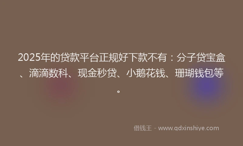 2025年的贷款平台正规好下款不有：分子贷宝盒、滴滴数科、现金秒贷、小鹅花钱、珊瑚钱包等。