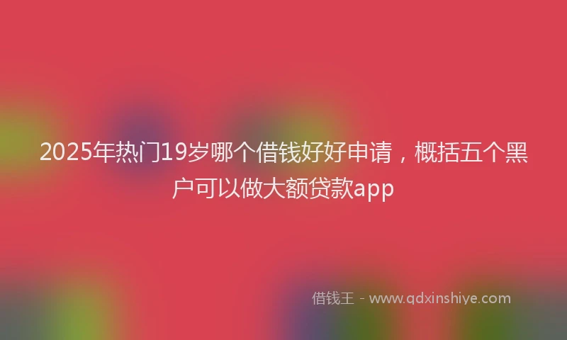 2025年热门19岁哪个借钱好好申请，概括五个黑户可以做大额贷款app