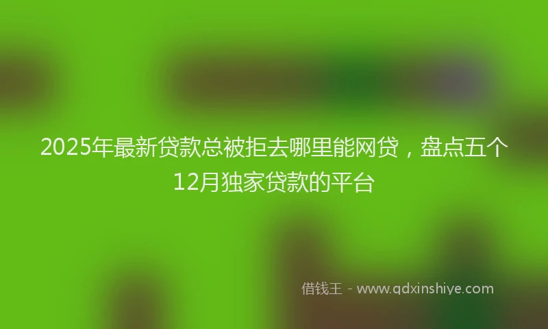 2025年最新贷款总被拒去哪里能网贷，盘点五个12月独家贷款的平台