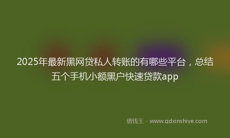 2025年最新黑网贷私人转账的有哪些平台，总结五个手机小额黑户快速贷款app