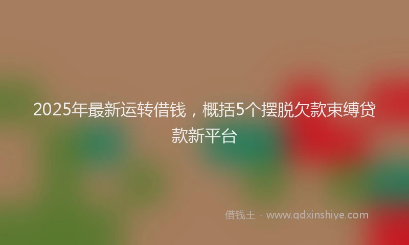 2025年最新运转借钱，概括5个摆脱欠款束缚贷款新平台