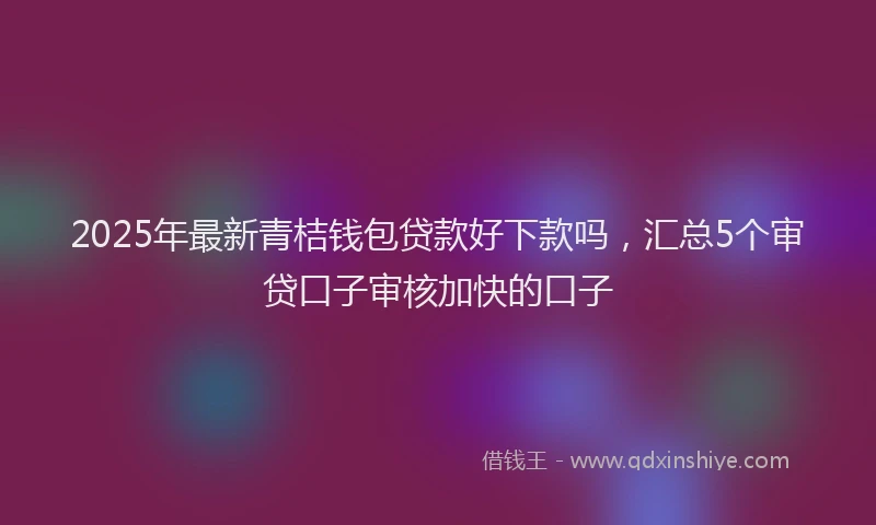 2025年最新青桔钱包贷款好下款吗，汇总5个审贷口子审核加快的口子