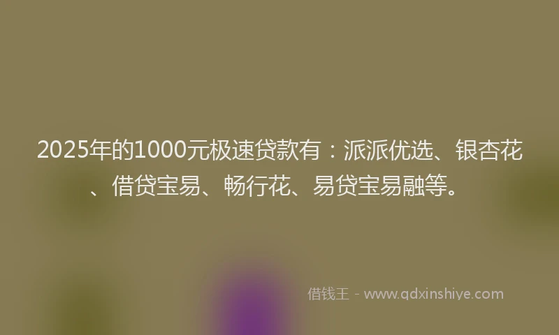 2025年的1000元极速贷款有：派派优选、银杏花、借贷宝易、畅行花、易贷宝易融等。
