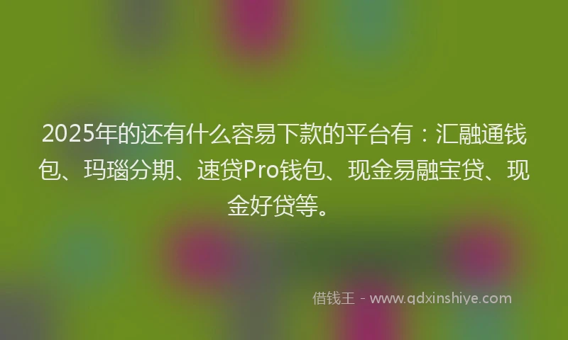 2025年的还有什么容易下款的平台有：汇融通钱包、玛瑙分期、速贷Pro钱包、现金易融宝贷、现金好贷等。
