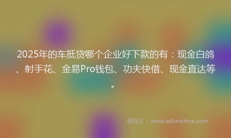 2025年的车抵贷哪个企业好下款的有：现金白鸽、射手花、金易Pro钱包、功夫快借、现金直达等。