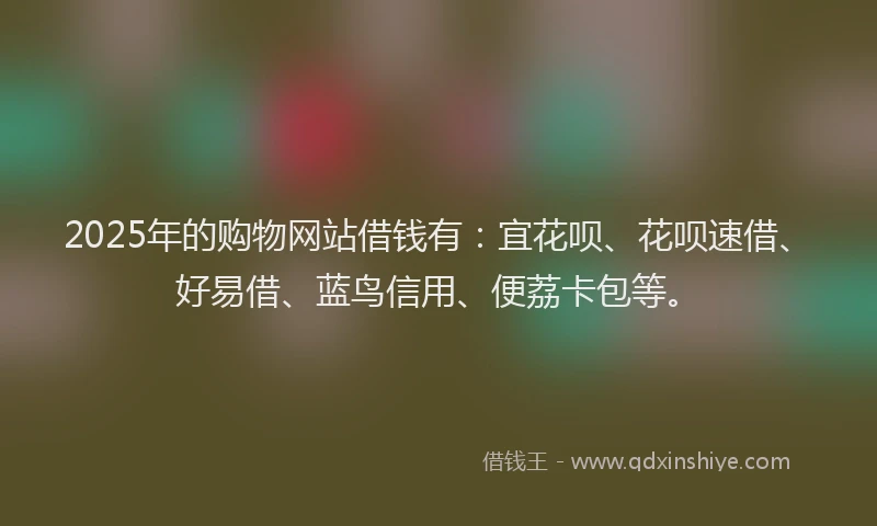 2025年的购物网站借钱有：宜花呗、花呗速借、好易借、蓝鸟信用、便荔卡包等。