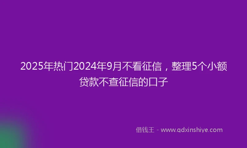 2025年热门2024年9月不看征信，整理5个小额贷款不查征信的口子