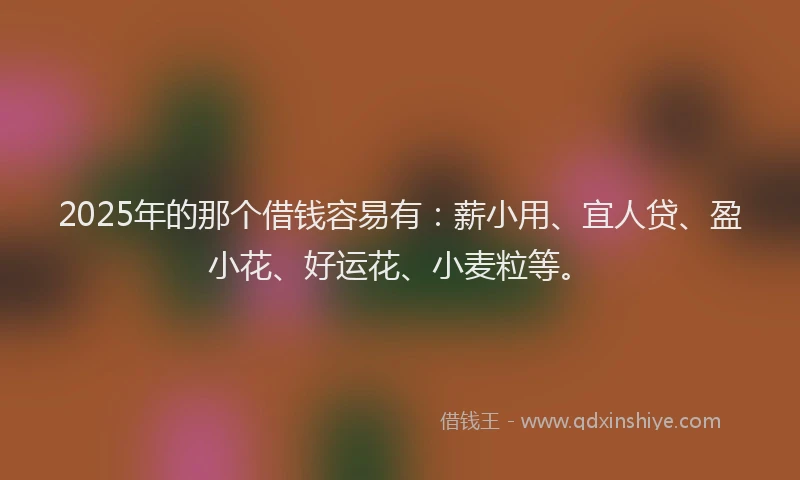 2025年的那个借钱容易有：薪小用、宜人贷、盈小花、好运花、小麦粒等。