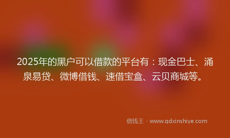 2025年的黑户可以借款的平台有：现金巴士、涌泉易贷、微博借钱、速借宝盒、云贝商城等。