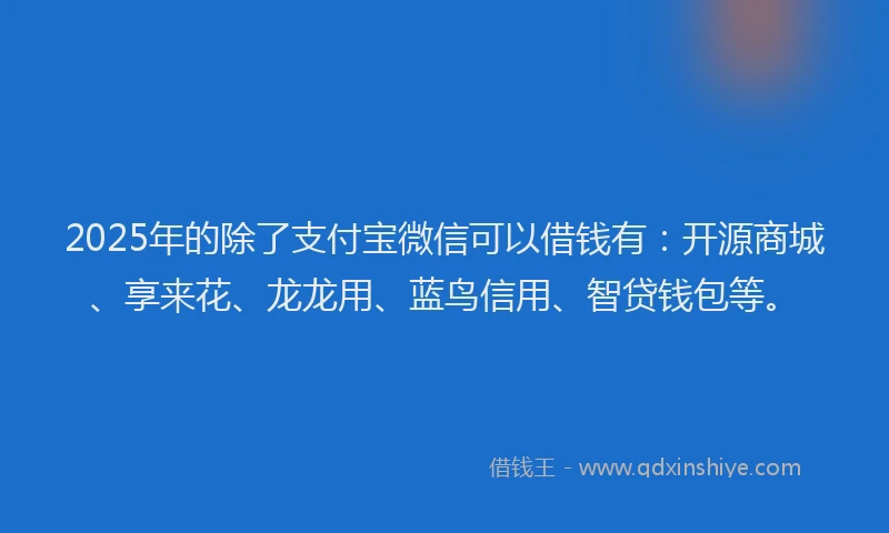2025年的除了支付宝微信可以借钱有：开源商城、享来花、龙龙用、蓝鸟信用、智贷钱包等。