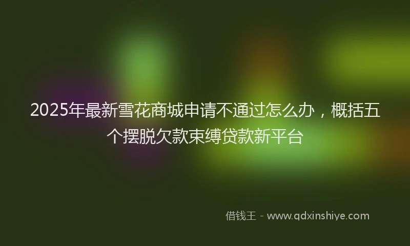 2025年最新雪花商城申请不通过怎么办，概括五个摆脱欠款束缚贷款新平台