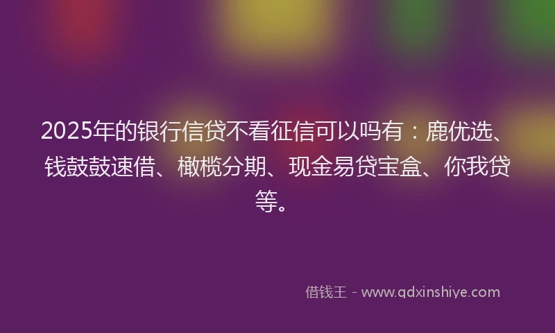 2025年的银行信贷不看征信可以吗有：鹿优选、钱鼓鼓速借、橄榄分期、现金易贷宝盒、你我贷等。