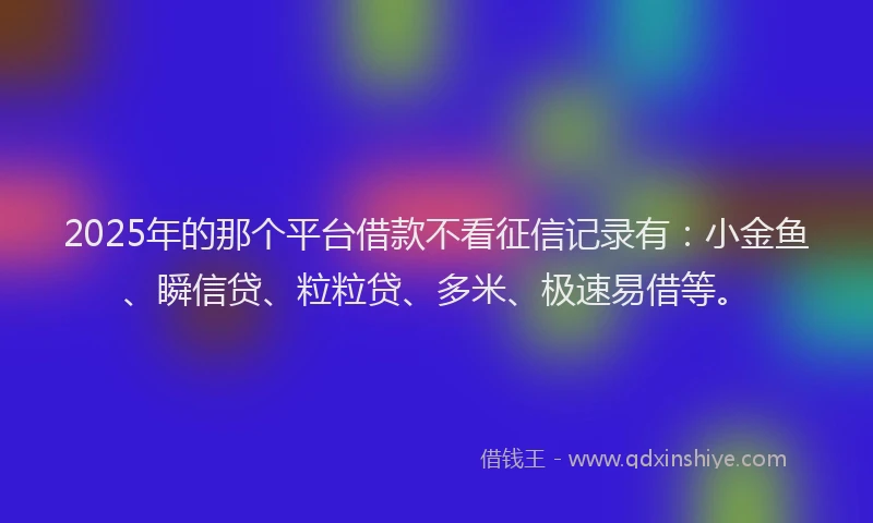 2025年的那个平台借款不看征信记录有：小金鱼、瞬信贷、粒粒贷、多米、极速易借等。