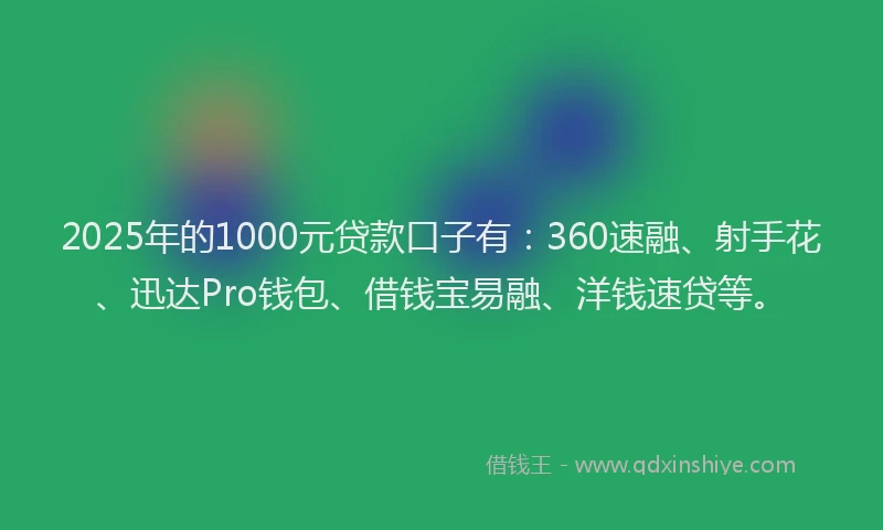 2025年的1000元贷款口子有：360速融、射手花、迅达Pro钱包、借钱宝易融、洋钱速贷等。