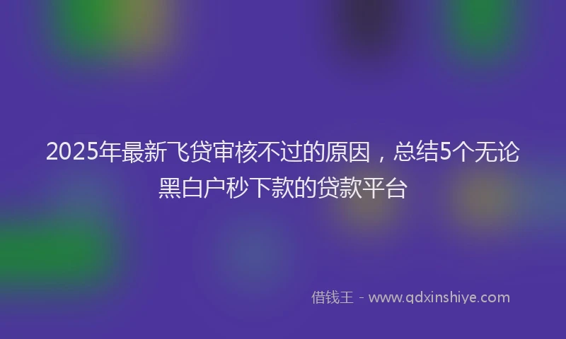 2025年最新飞贷审核不过的原因，总结5个无论黑白户秒下款的贷款平台