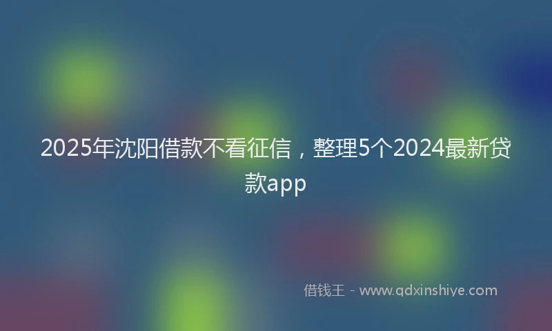 2025年沈阳借款不看征信，整理5个2024最新贷款app
