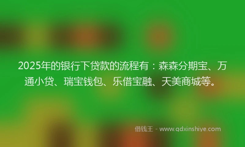 2025年的银行下贷款的流程有：森森分期宝、万通小贷、瑞宝钱包、乐借宝融、天美商城等。