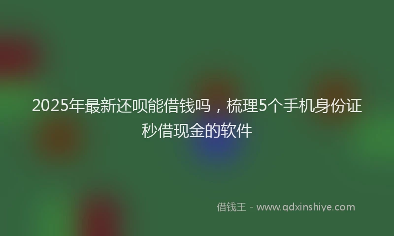 2025年最新还呗能借钱吗，梳理5个手机身份证秒借现金的软件