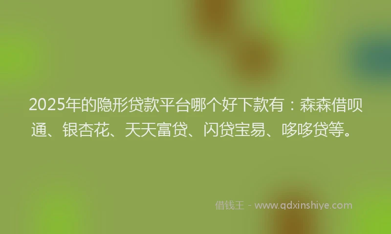 2025年的隐形贷款平台哪个好下款有：森森借呗通、银杏花、天天富贷、闪贷宝易、哆哆贷等。