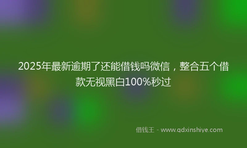 2025年最新逾期了还能借钱吗微信，整合五个借款无视黑白100%秒过