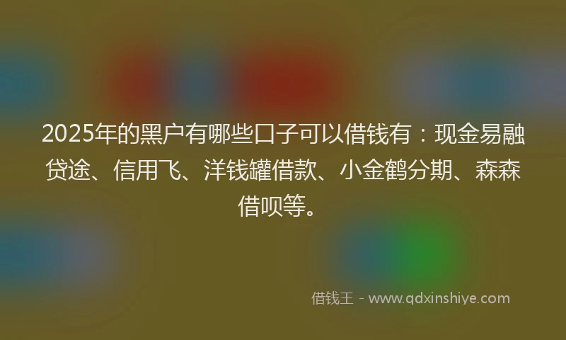 2025年的黑户有哪些口子可以借钱有：现金易融贷途、信用飞、洋钱罐借款、小金鹤分期、森森借呗等。