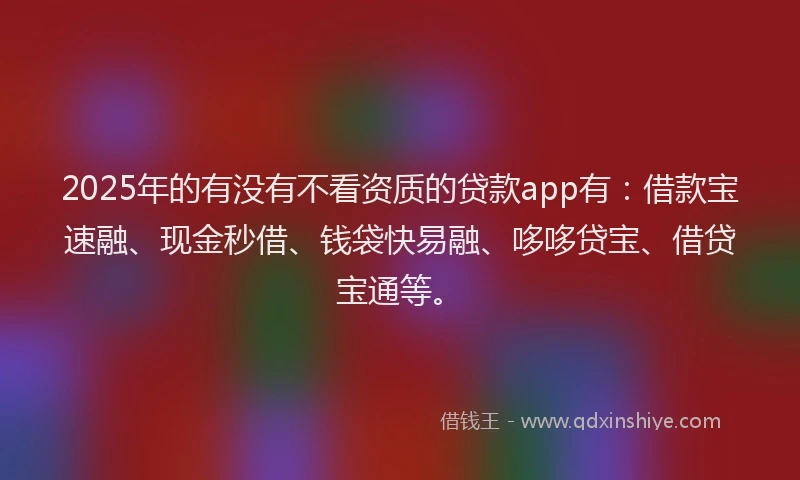 2025年的有没有不看资质的贷款app有：借款宝速融、现金秒借、钱袋快易融、哆哆贷宝、借贷宝通等。