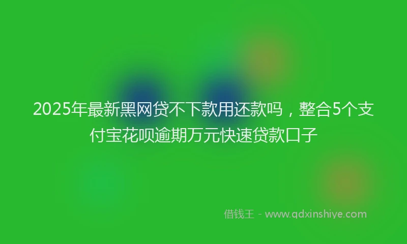 2025年最新黑网贷不下款用还款吗，整合5个支付宝花呗逾期万元快速贷款口子
