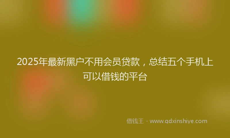 2025年最新黑户不用会员贷款，总结五个手机上可以借钱的平台