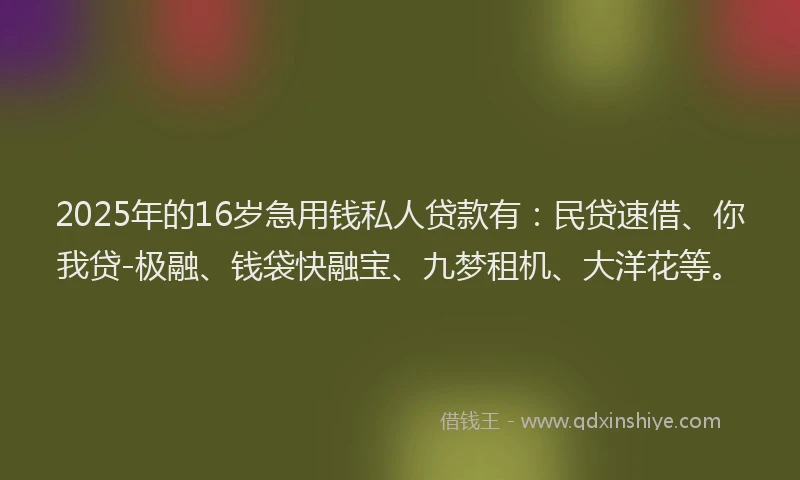 2025年的16岁急用钱私人贷款有：民贷速借、你我贷-极融、钱袋快融宝、九梦租机、大洋花等。
