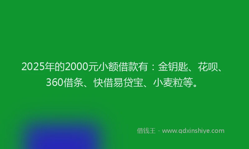 2025年的2000元小额借款有：金钥匙、花呗、360借条、快借易贷宝、小麦粒等。