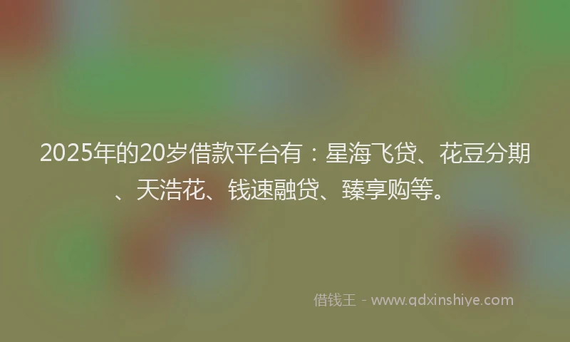 2025年的20岁借款平台有：星海飞贷、花豆分期、天浩花、钱速融贷、臻享购等。