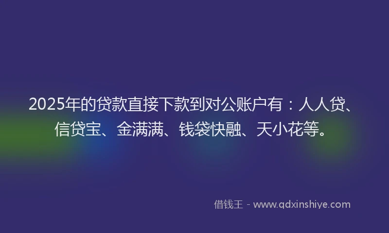 2025年的贷款直接下款到对公账户有：人人贷、信贷宝、金满满、钱袋快融、天小花等。