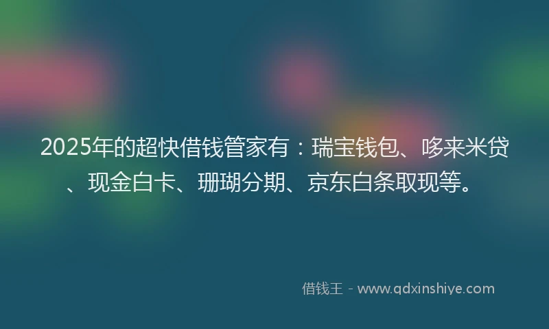2025年的超快借钱管家有：瑞宝钱包、哆来米贷、现金白卡、珊瑚分期、京东白条取现等。