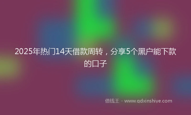 2025年热门14天借款周转，分享5个黑户能下款的口子