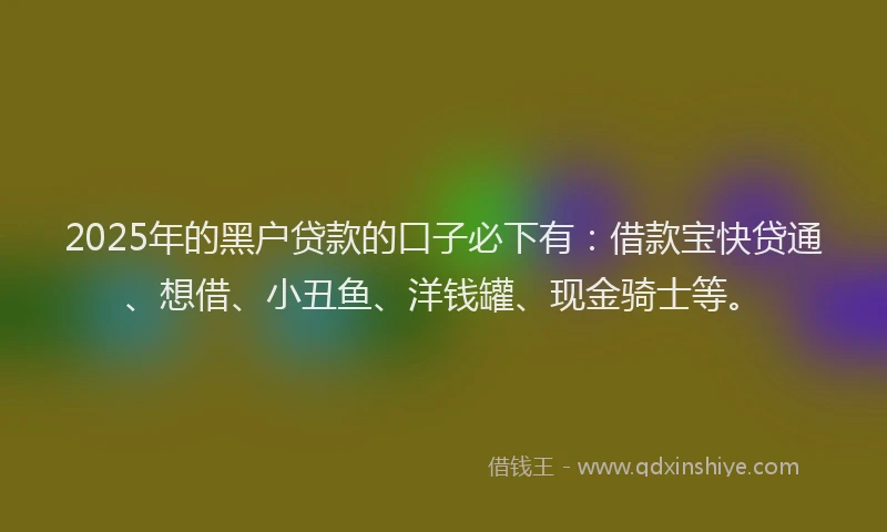 2025年的黑户贷款的口子必下有：借款宝快贷通、想借、小丑鱼、洋钱罐、现金骑士等。